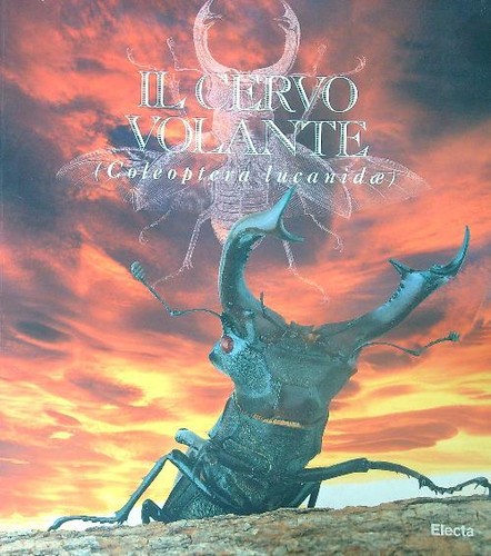 Cervo volante l avventura - volante., l'avventura