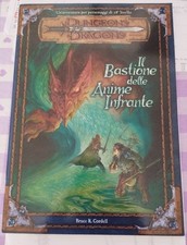 Dungeons  Dragons IL BASTIONE