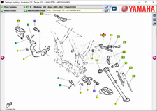 Coppia pedane post Yamaha TT R