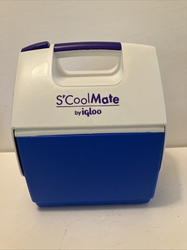 Mini cooler vintage cool - mini,