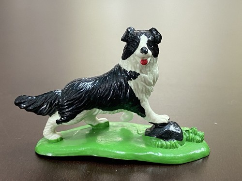 Border collie cane - collie,