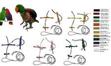 Pettorina pappagalli ECLETTO