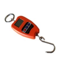 Bilancia 200 elettronica - kg,