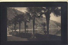 LAGO DI GARDA  VISTA DEI GIARDINI E DEL LAGO ( LOCALITA SCONOSCIUTA ) 088