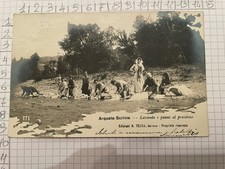 Antica Cartolina Postale Arquata Scrivia Lavando I Panni Al Prossimo Ed. Testa