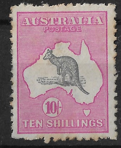 Australia canguro rosa - canguro,