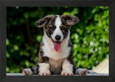 Quadro stampa su tela poster