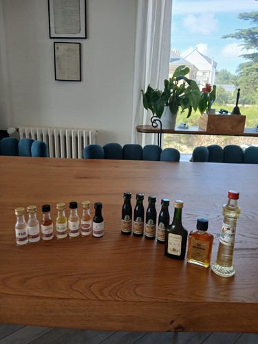 Lot mignonettes alcool de - mignonettes,