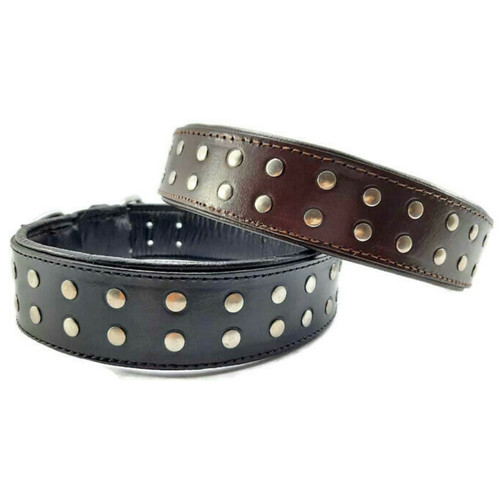 Collare per cani imbottito - , con