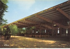 80 OFFOY AE#DC730 Il Dominio