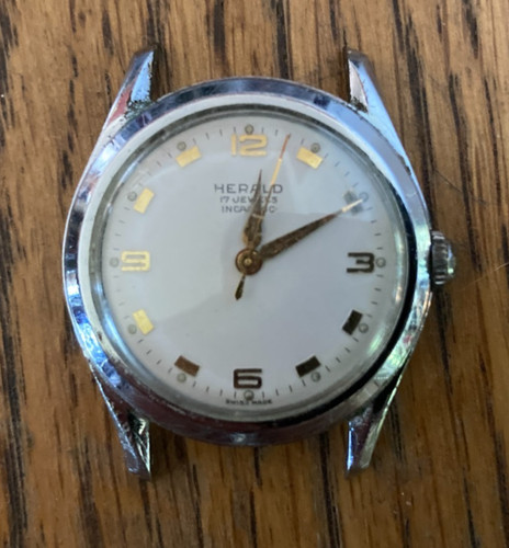 Araldo jewel 33mm - araldo,