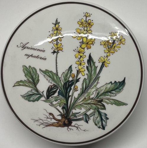 Villeroy boch botanica - &,
