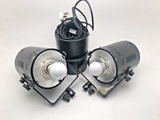 Bowen's Monolite 200 testine