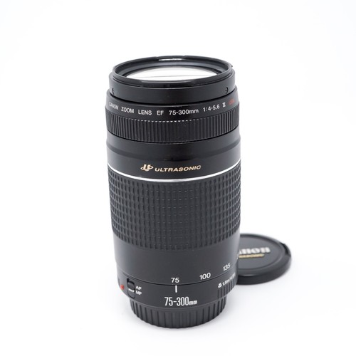 Canon 300mm 5 - canon, 75-300mm
