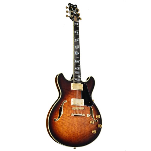 Ibanez john scofield jsm100 - john,