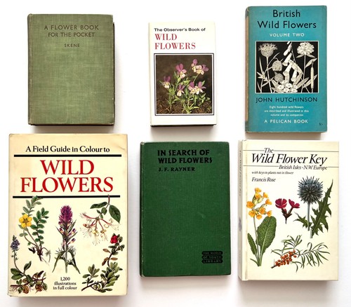 Vintage wild flower - wild, book