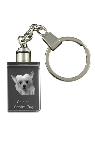 Cane cinese portachiavi - cane, in