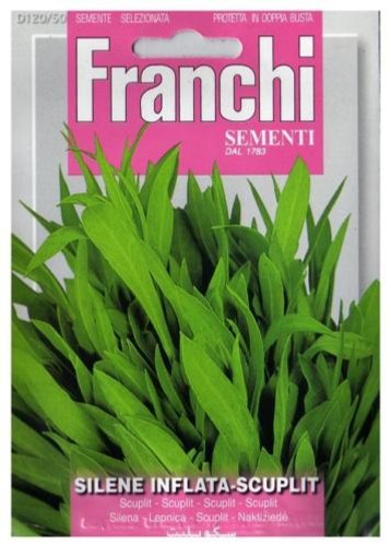 Semi seeds silene - semi/seeds,