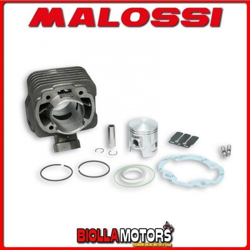 317132 gruppo termico malossi - gruppo,
