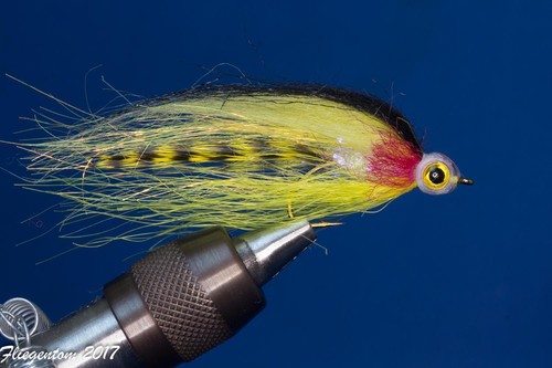 Fliegentom streamer pezzi - fliegentom,