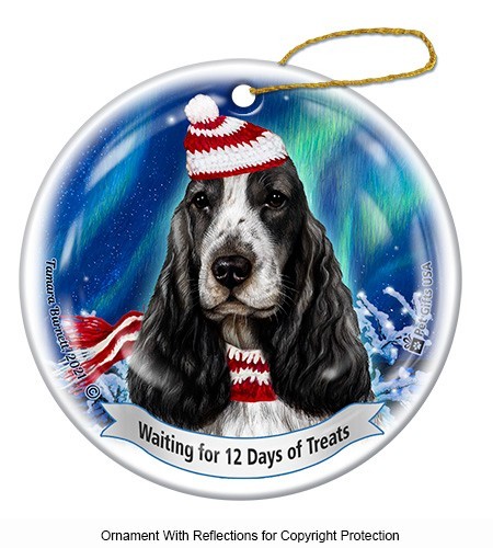 Cocker spaniel inglese aurora - inglese,