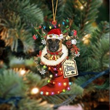 Belga Malinois-Xmas Boot-Tw