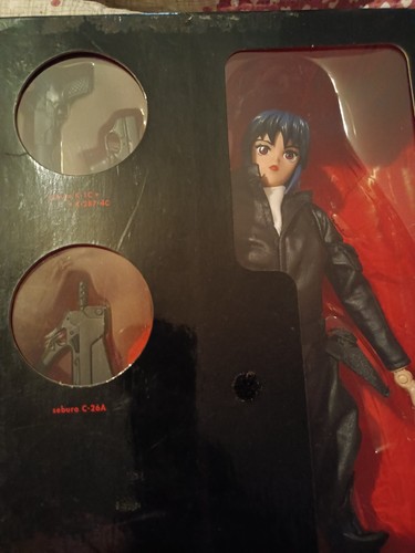 Gost the shell motoko - in,