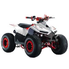 Mini Quad LEM Grizzly 110cc