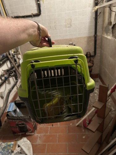 Pets trasportino pratiko - pets,
