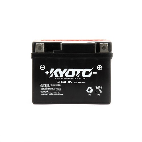 Batteria moto rieju - 50, pro