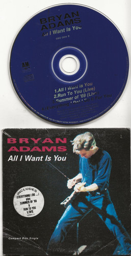 Bryan adams all want you - want,