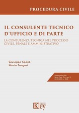 Il consulente tecnico