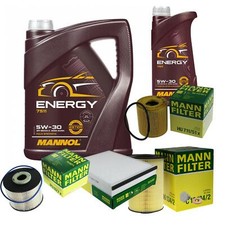 Pacchetto ispezione Mann 6 L