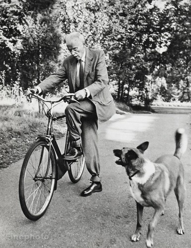 1956 foto epoca alfred - foto, d'epoca