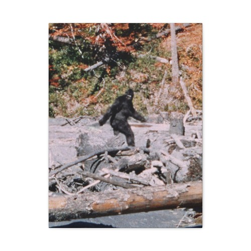 Bigfoot tela primo piano - primo,