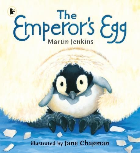Emperor egg jane - emperor's, chapman