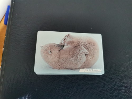 Scheda telefonica animali per - scheda,