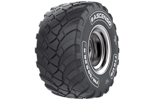 Gomme estive ascenso - gomme,