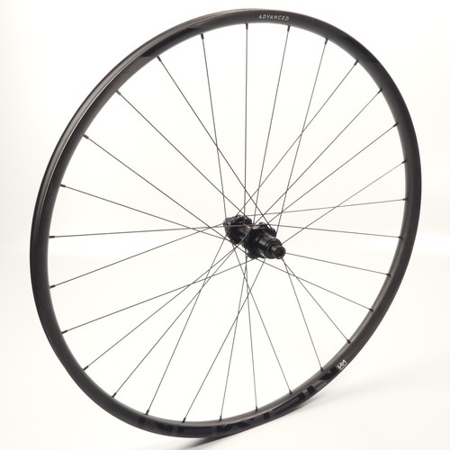 Ruota posteriore newmen - ruota,