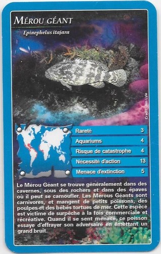 Carte top trump mérou - trump,
