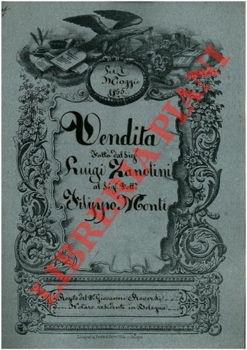 Zanolini monti vendita di - zanolini,