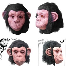 Costume Gorilla Scimmia Testa