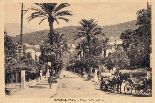 Genova nervi viale delle - nervi, palme