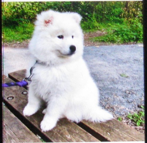 Test