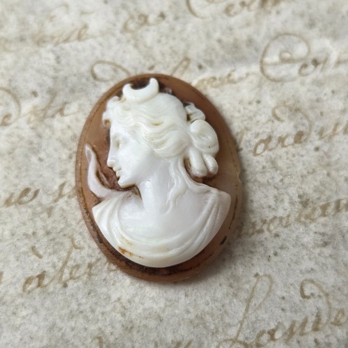 Antico cameo conchiglia - , epoca