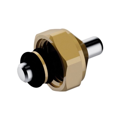 Perno inox con - , anello