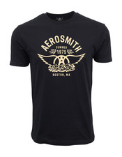 Aerosmith Established Graphic