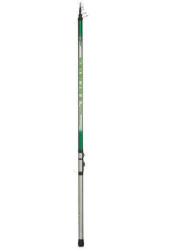 Canna galactica bolognese - canna,