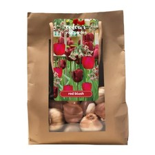Bulbi fiori primaverili rossi in bag "Colora il tuo Giardino" - Alta Qualità