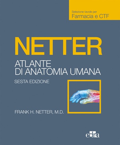 Netter atlante anatomia - netter.,